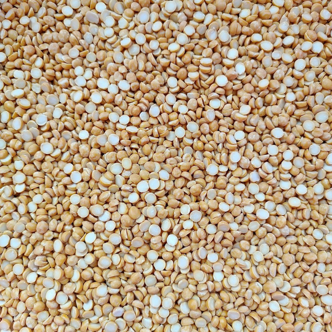 chickpeas Dried chickpeas and pulses for wholesale