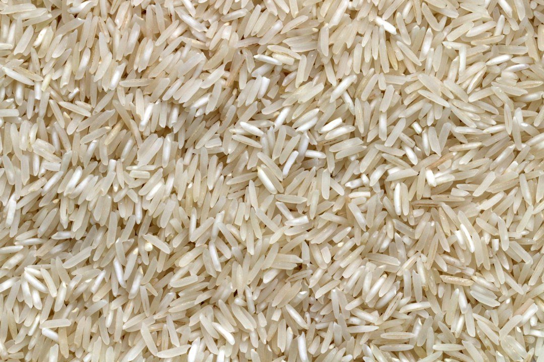 jasmine-rice Fragrant jasmine rice