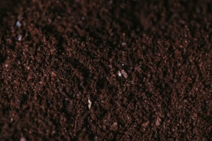 Rich organic soil improved with organic fertilizer