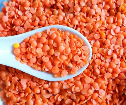 Split red lentils close-up